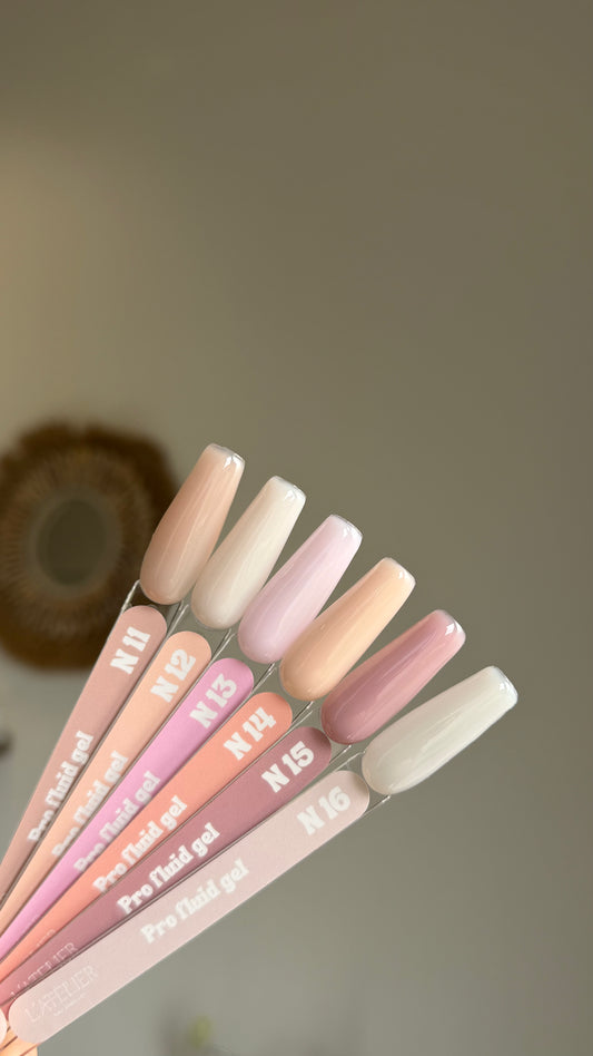 Women Collection