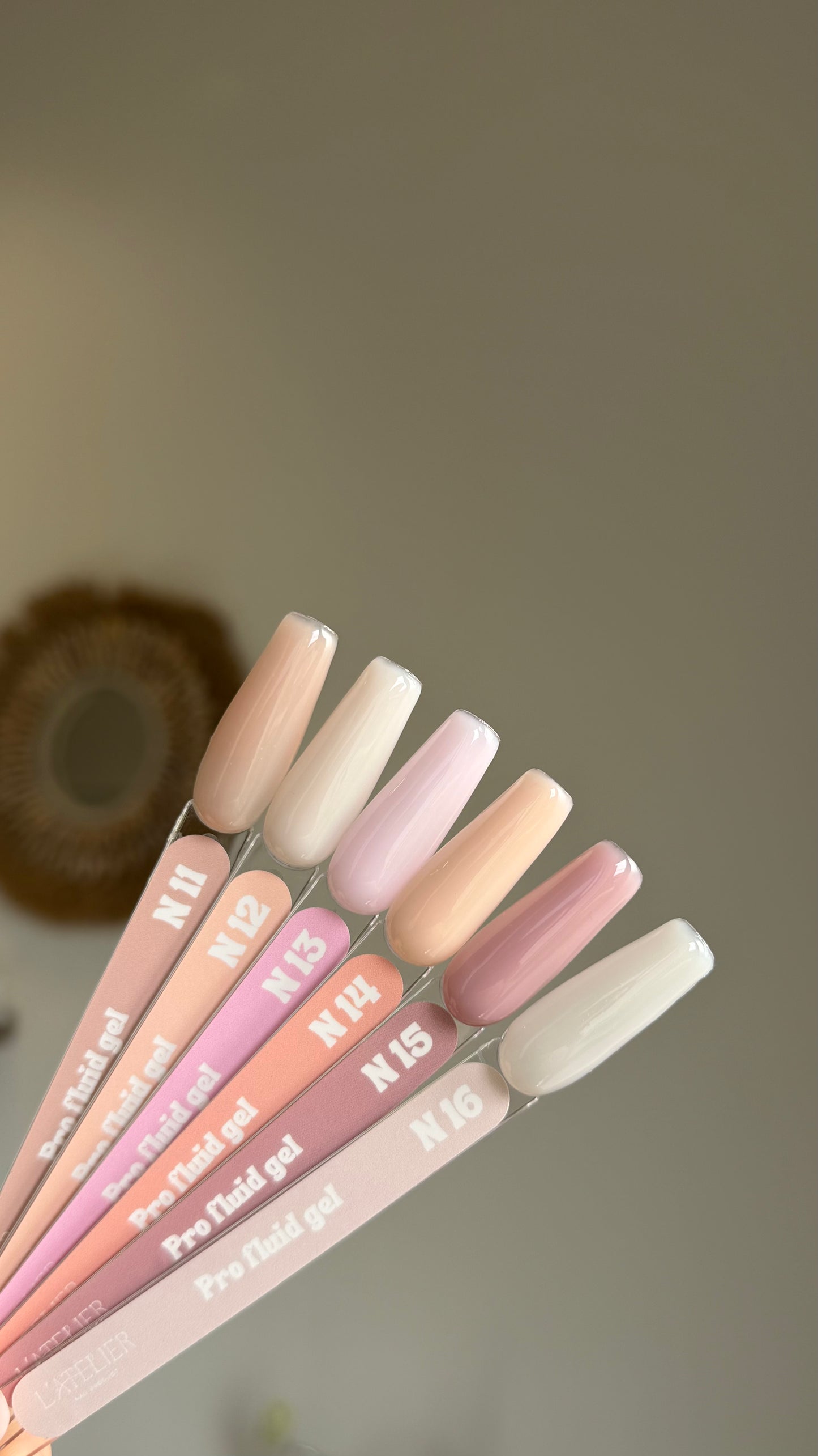 Women Collection